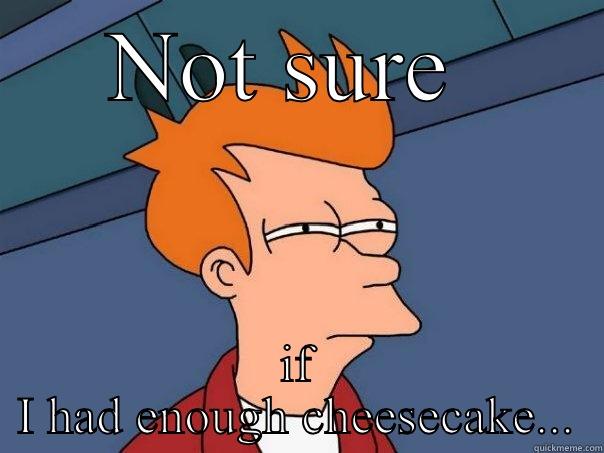 NOT SURE  IF I HAD ENOUGH CHEESECAKE... Futurama Fry