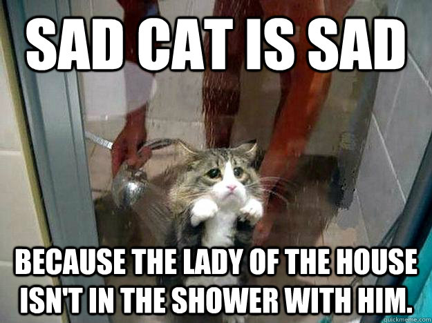 Sad cat is sad because the lady of the house isn't in the shower with him.  Shower kitty