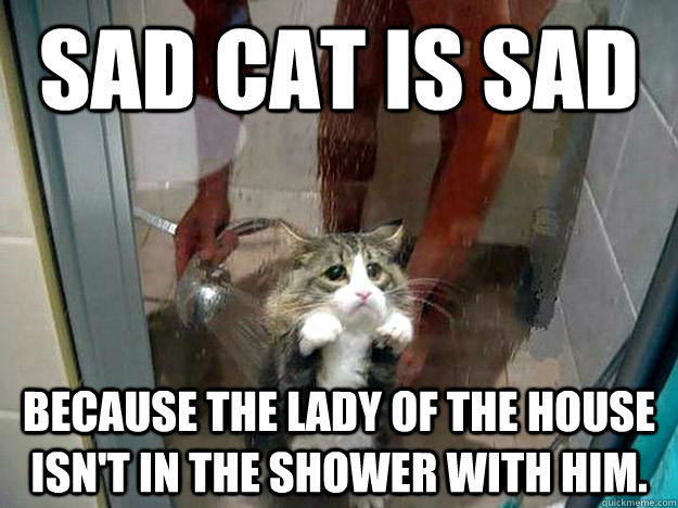 Sad cat is sad because the lady of the house isn't in the shower with him. - Sad cat is sad because the lady of the house isn't in the shower with him.  Shower kitty