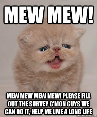 mew mew! mew mew mew mew! please fill out the survey c'mon guys we can do it, help me live a long life - mew mew! mew mew mew mew! please fill out the survey c'mon guys we can do it, help me live a long life  Surveycat