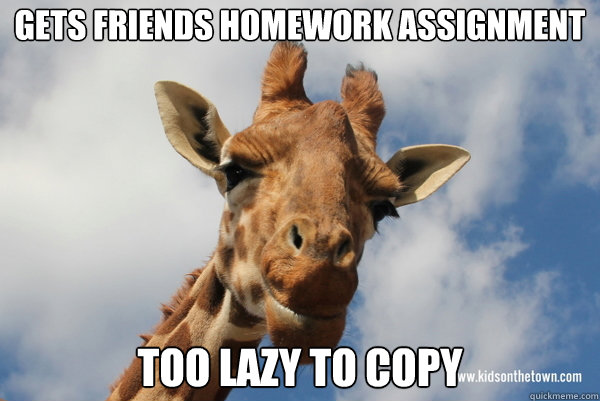 Gets friends homework assignment Too lazy to copy  DGAF Giraffe