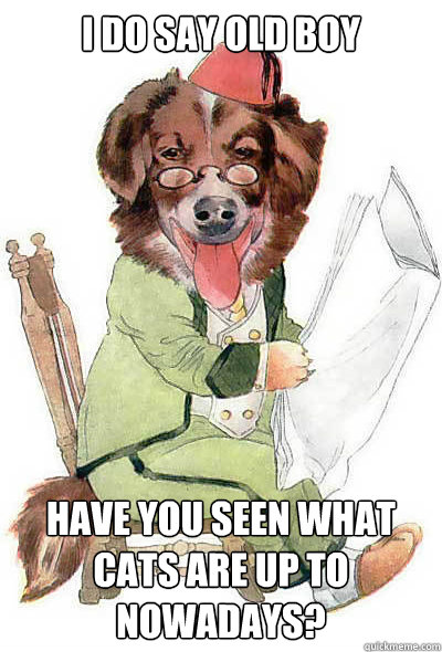 I do say old boy Have you seen what cats are up to nowadays?  Dog Reading Newspaper