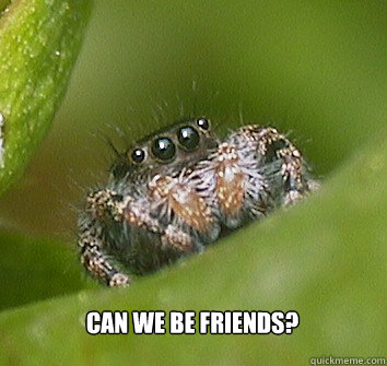  Can we be friends?  Misunderstood Spider