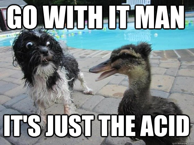 go with it man it's just the acid - go with it man it's just the acid  Acid Pets