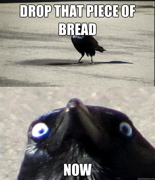 Drop that piece of bread NOW  Insanity Crow