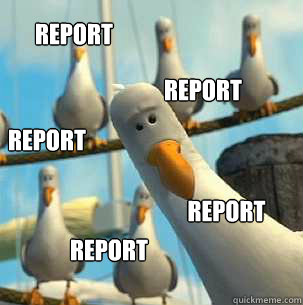 Report report report report report  seagulls