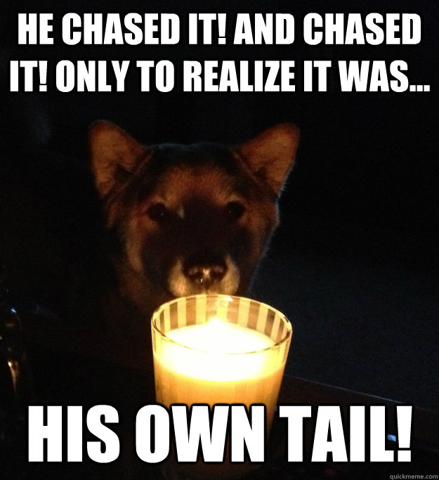 He chased it! And chased it! Only to realize it was... His Own Tail!  Scary Story Dog
