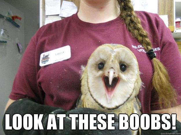  Look at these boobs! -  Look at these boobs!  Misc