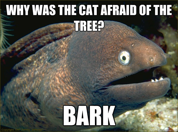 Why was the cat afraid of the tree? BARK  Bad Joke Eel