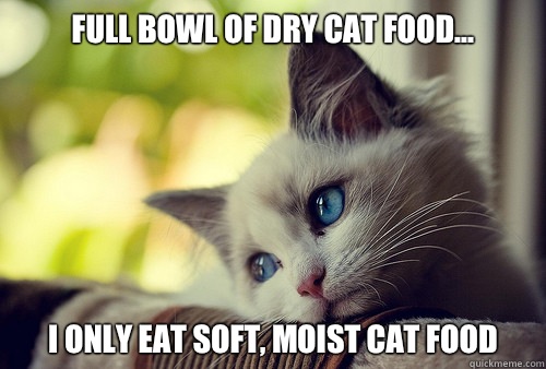 Full bowl of dry cat food... I only eat soft, moist cat food  First World Problems Cat