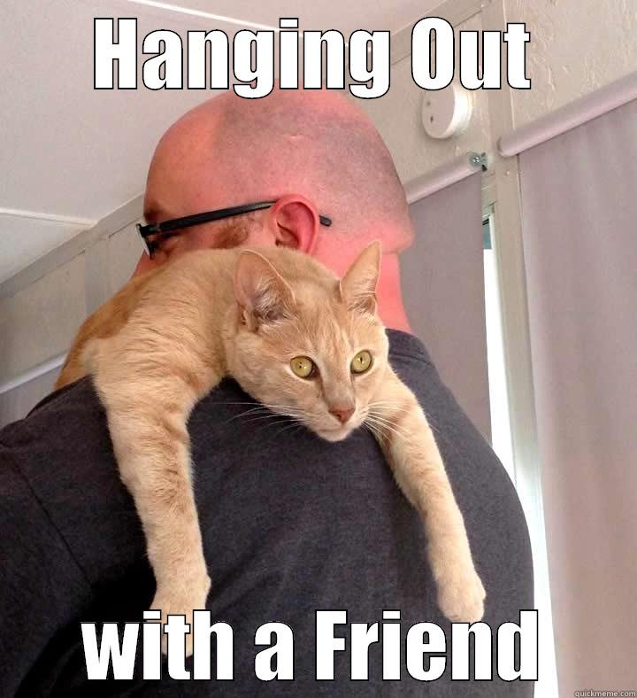 The New Meaning of "Hanging Out with a Friend!" quickmeme