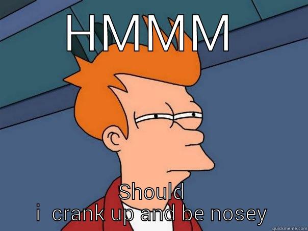 HMMM SHOULD I  CRANK UP AND BE NOSEY Futurama Fry