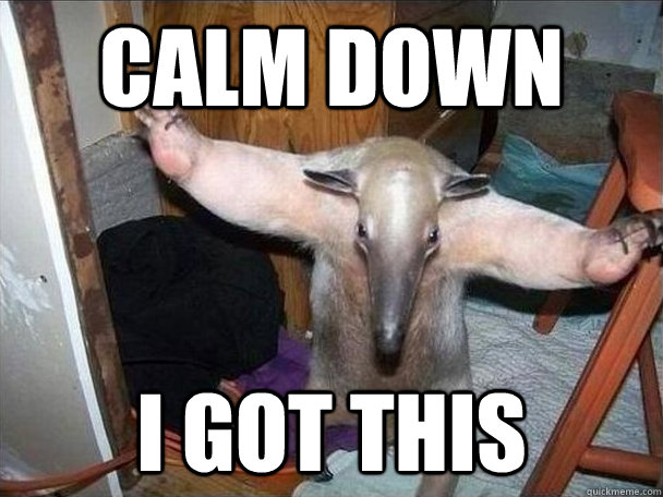 calm down i got this  I got this