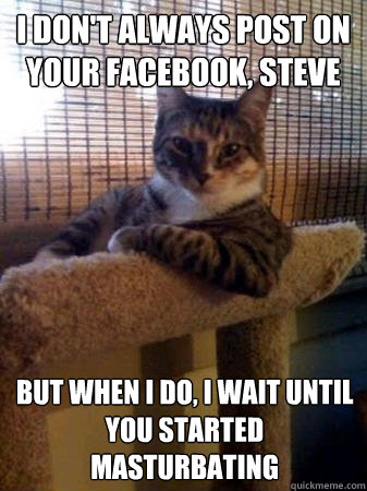 i don't always post on your facebook, Steve but when I do, i wait until you started masturbating  The Most Interesting Cat in the World