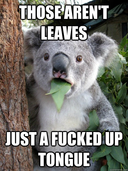 those aren't leaves just a fucked up tongue   Surprised Koala