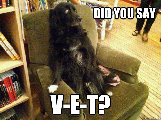 Did you say v-e-t?  