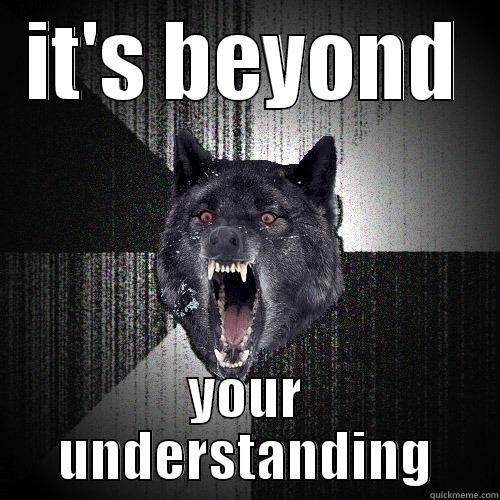 IT'S BEYOND YOUR UNDERSTANDING Insanity Wolf