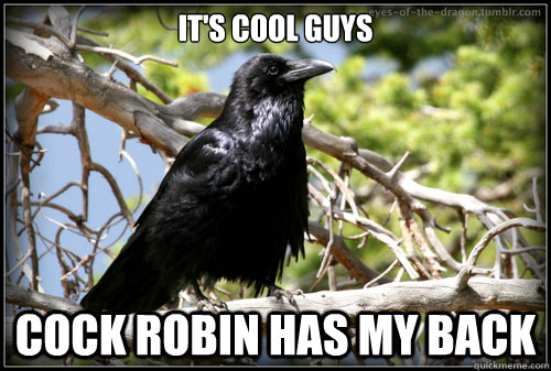 IT'S COOL GUYS COCK ROBIN HAS MY BACK  Corax Harpy