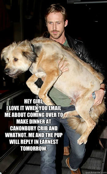 Hey Girl, 
I love it when you email me about coming over to make dinner at Canonbury Crib and whatnot. Me and the pup will reply in earnest tomorrow. - Hey Girl, 
I love it when you email me about coming over to make dinner at Canonbury Crib and whatnot. Me and the pup will reply in earnest tomorrow.  Hey girl happy birthday