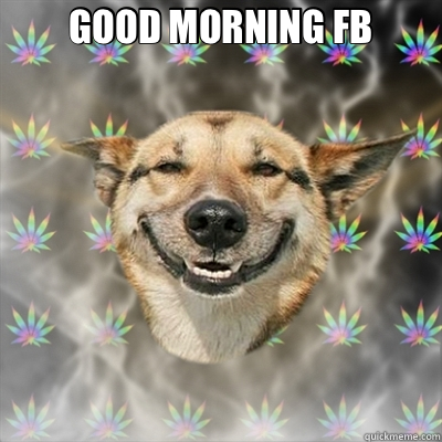 GOOD MORNING FB   Stoner Dog