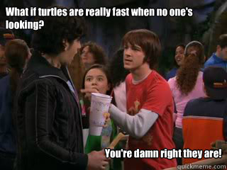 What if turtles are really fast when no one's looking? You're damn right they are!  