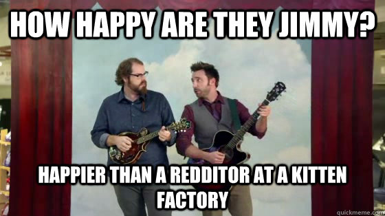 How happy are they Jimmy? Happier than a Redditor at a kitten factory - How happy are they Jimmy? Happier than a Redditor at a kitten factory  How happy are they