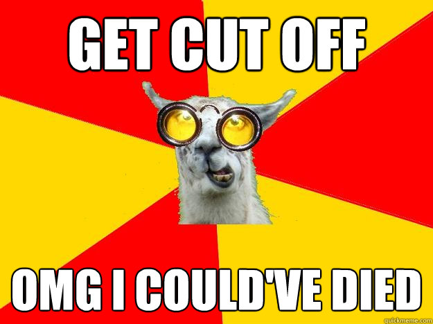 get cut off  omg i could've died  Learner Driver Llama