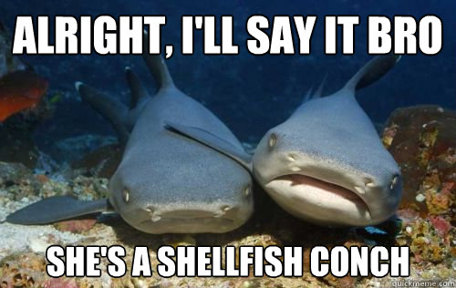 Alright, I'll say it bro
 she's a shellfish conch  Compassionate Shark Friend