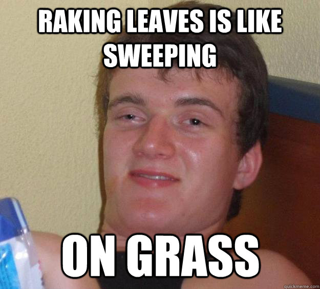 raking leaves is like sweeping on grass  10 Guy