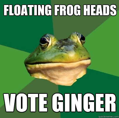 Floating frog heads Vote ginger  Foul Bachelor Frog