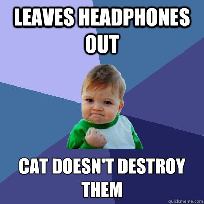 Leaves headphones out Cat doesn't destroy them   Success Kid
