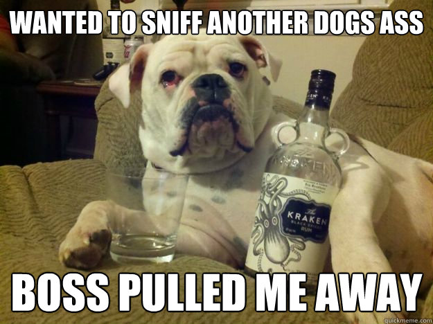 wanted to sniff another dogs ass  boss pulled me away  First World Dog problems