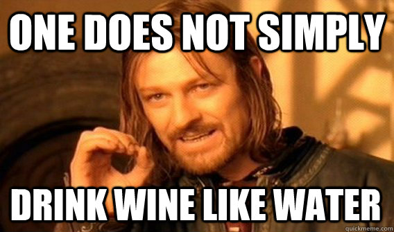 ONE DOES NOT SIMPLY DRINK WINE LIKE WATER  One Does Not Simply