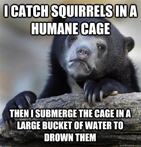 I CATCH SQUIRRELS IN A HUMANE CAGE THEN I SUBMERGE THE CAGE IN A LARGE BUCKET OF WATER TO DROWN THEM  Confession Bear