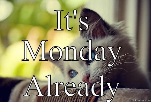 IT'S MONDAY ALREADY First World Problems Cat