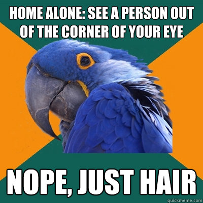 home alone: see a person out of the corner of your eye nope, just hair  Paranoid Parrot