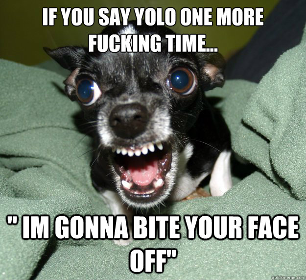 If you say yolo one more fucking time... 