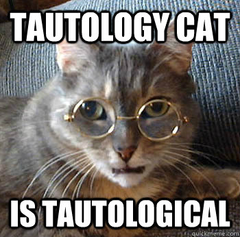 Tautology cat is tautological - Tautology cat is tautological  tautology cat