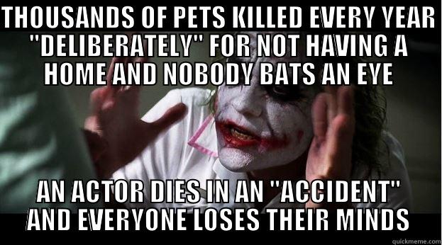 THOUSANDS OF PETS KILLED EVERY YEAR 