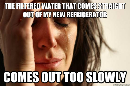 The filtered water that comes straight out of my new refrigerator comes out too slowly  First World Problems