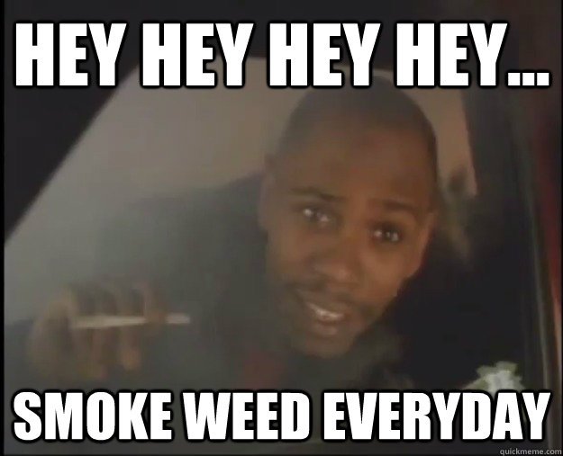 Hey hey hey hey... smoke weed everyday - Hey hey hey hey... smoke weed everyday  Dave Chappelle at 24