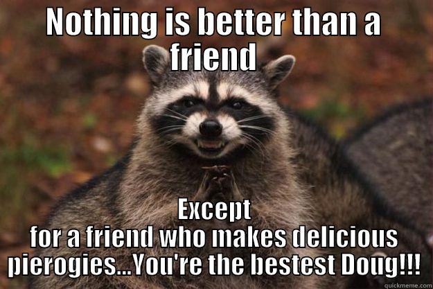 Pierogi friend - NOTHING IS BETTER THAN A FRIEND EXCEPT FOR A FRIEND WHO MAKES DELICIOUS PIEROGIES...YOU'RE THE BESTEST DOUG!!! Evil Plotting Raccoon