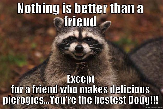 NOTHING IS BETTER THAN A FRIEND EXCEPT FOR A FRIEND WHO MAKES DELICIOUS PIEROGIES...YOU'RE THE BESTEST DOUG!!! Evil Plotting Raccoon