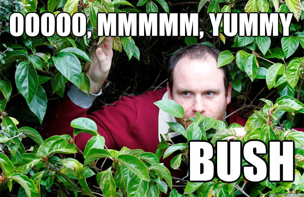 ooooo, mmmmm, yummy
 bush  Creepy Stalker Guy
