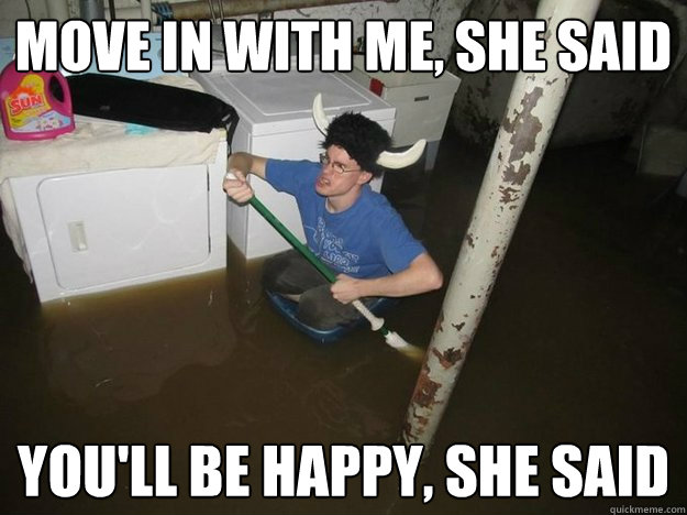 move in with me, she said you'll be happy, she said  Laundry Room Viking