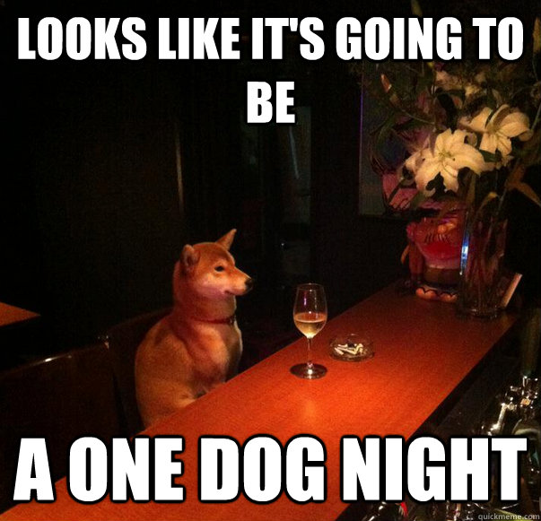 Looks like it's going to be a one dog night  Drinking Alone Dog