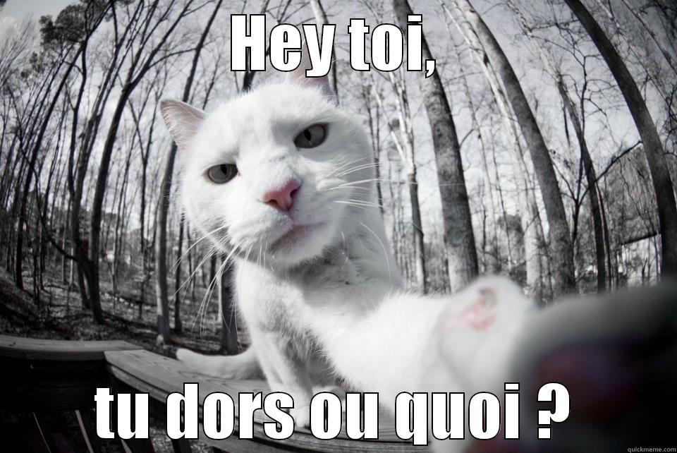HEY TOI, TU DORS OU QUOI ? Misc