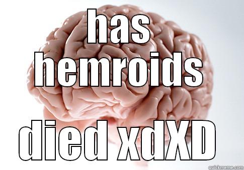 HAS HEMROIDS DIED XDXD Scumbag Brain