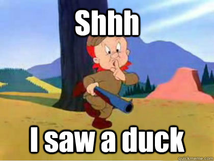 Shhh I saw a duck  