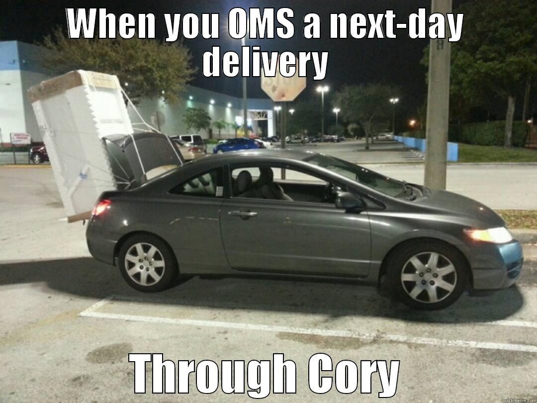 WHEN YOU OMS A NEXT-DAY DELIVERY THROUGH CORY Success Kid